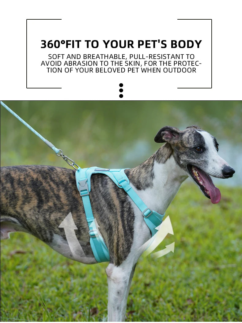 Dog Breathable Harness NO PULL Pet Reflective Harness Vest For Small Large Dog Walk Training In Outdoor Lead Collar Pet Supplies