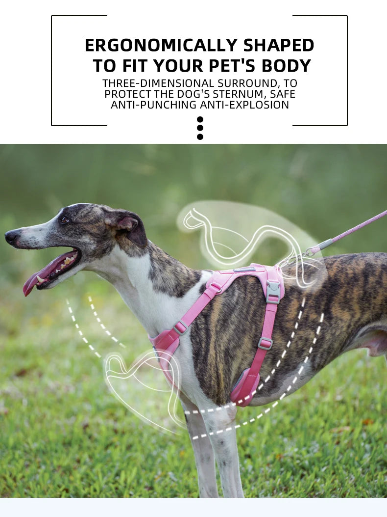 Dog Breathable Harness NO PULL Pet Reflective Harness Vest For Small Large Dog Walk Training In Outdoor Lead Collar Pet Supplies