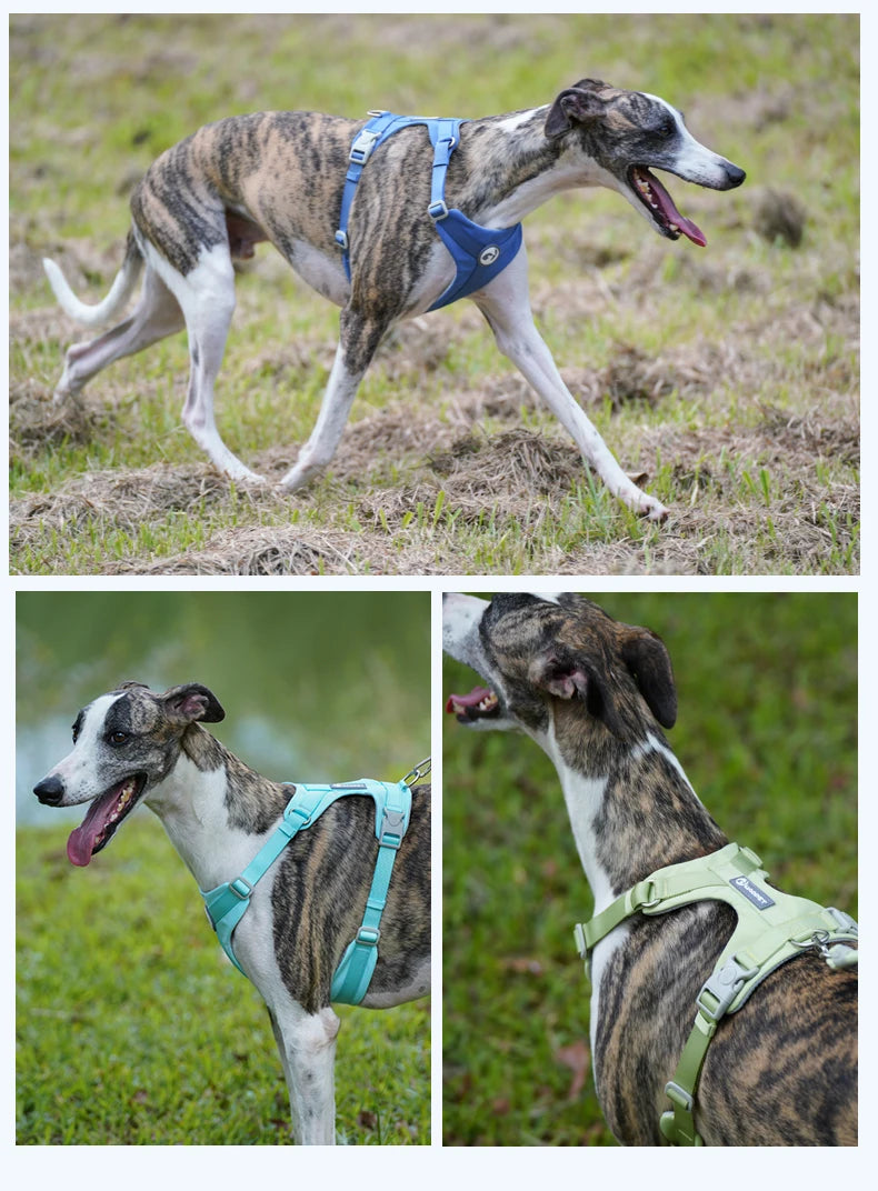 Dog Breathable Harness NO PULL Pet Reflective Harness Vest For Small Large Dog Walk Training In Outdoor Lead Collar Pet Supplies