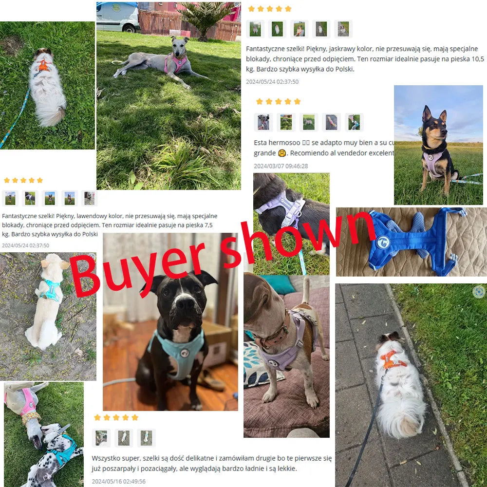 Dog Breathable Harness NO PULL Pet Reflective Harness Vest For Small Large Dog Walk Training In Outdoor Lead Collar Pet Supplies