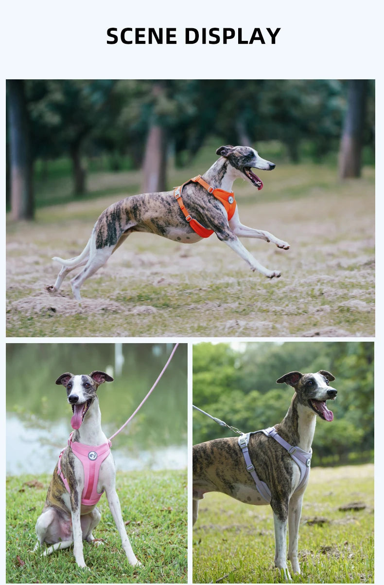 Dog Breathable Harness NO PULL Pet Reflective Harness Vest For Small Large Dog Walk Training In Outdoor Lead Collar Pet Supplies