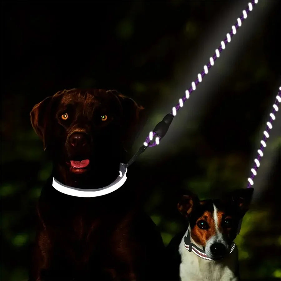 Dual Dog Leash - 360 Swivel No Tangle Walking Leash for Small Dogs - Double the Fun and Safety on Walks