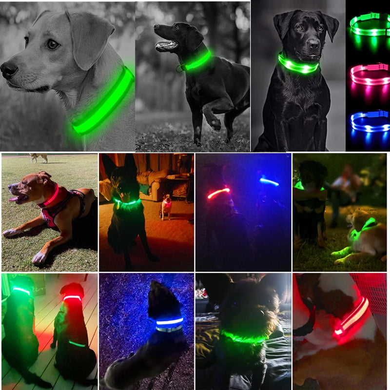 Usb Charging Glowing Dog Collar With Pendant Detachable Luxury Led Light Bright For Small Dogs Cat Night Safety Collar Wholesale