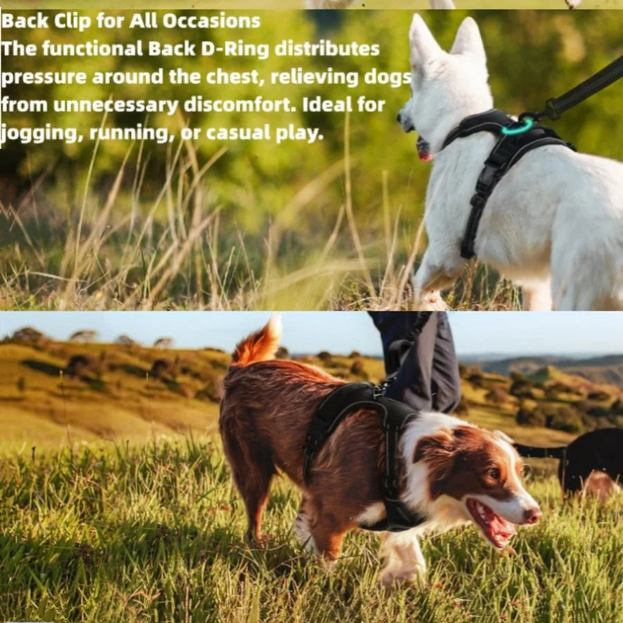 Reflective anti-pulling dog harness for large dogs - Heavy-duty anti-bite dog jacket with padded chest section (escape preventio