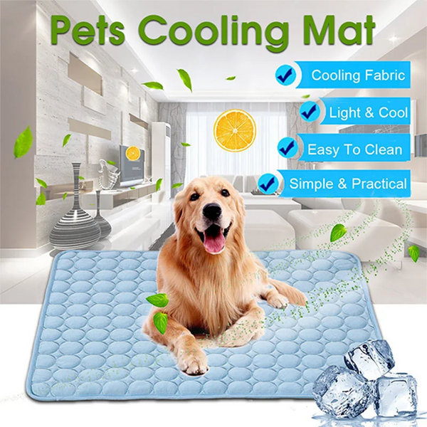Pet Bedding