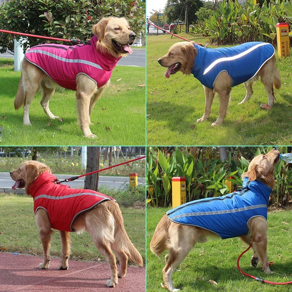 Pet Apparel